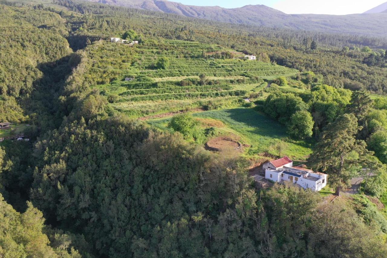 El Pino Centenario 8 Ла Оротава Екстериор снимка